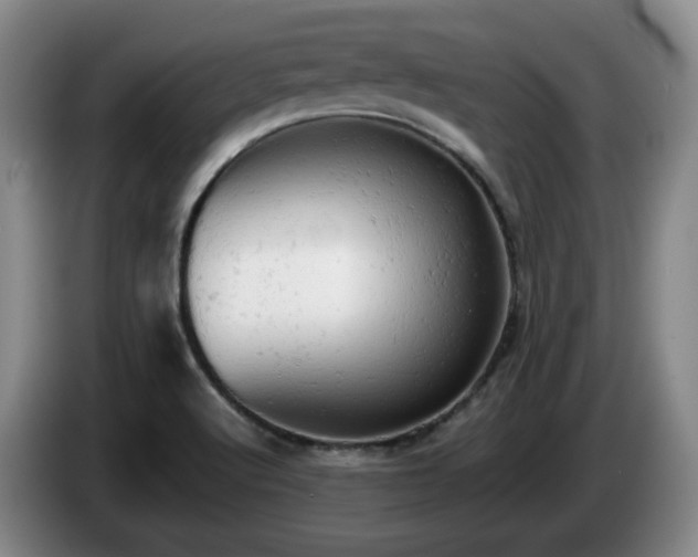 X0000085011512200703121511