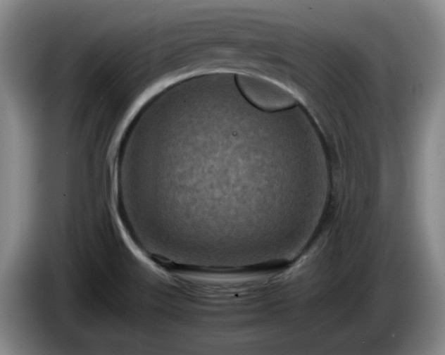 X0000085011515200703121511