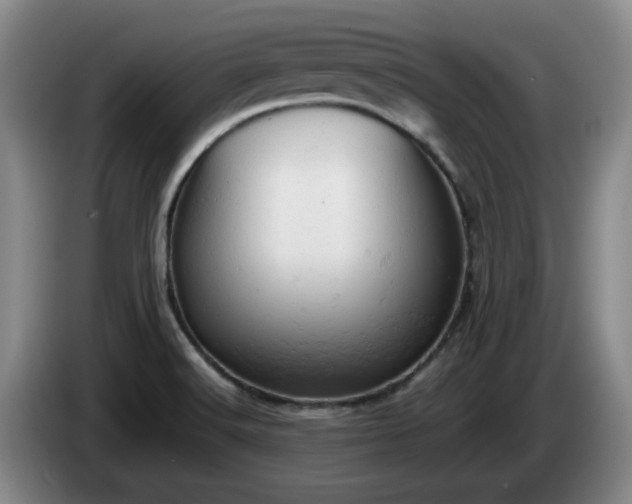 X0000085011516200703121511