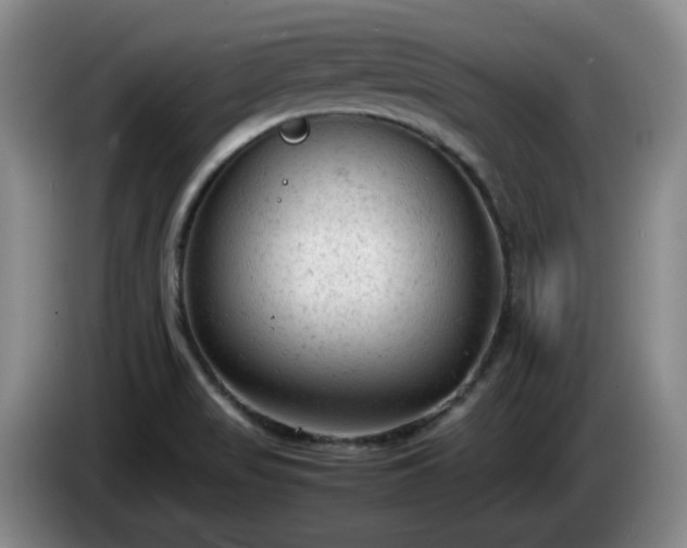 X0000085011517200703121511