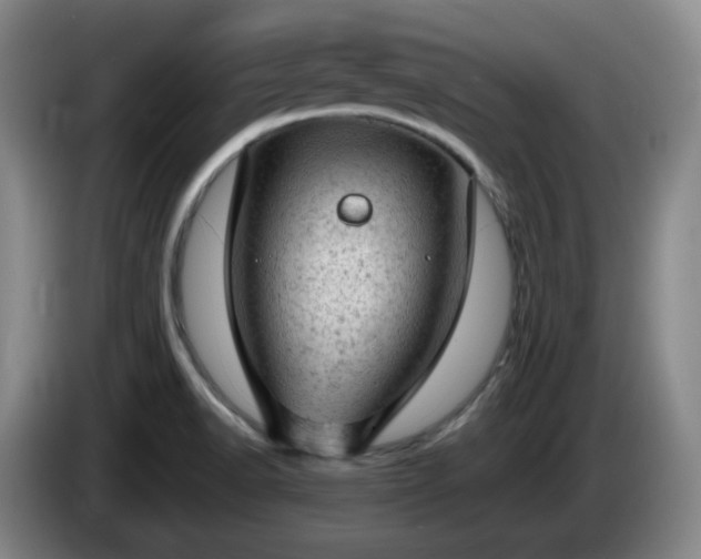 X0000085011518200703121511