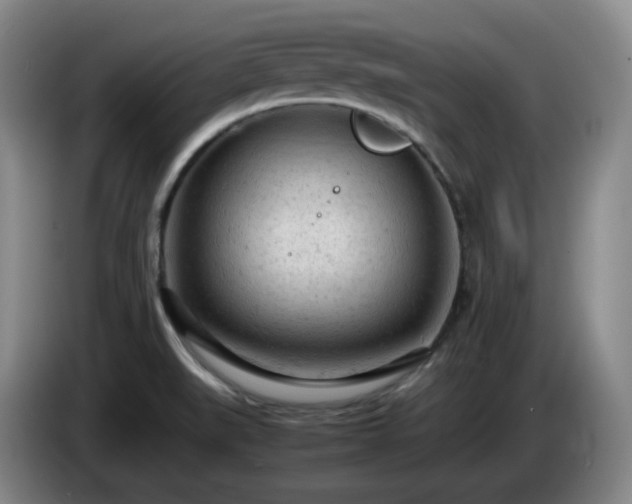 X0000085011519200703121511