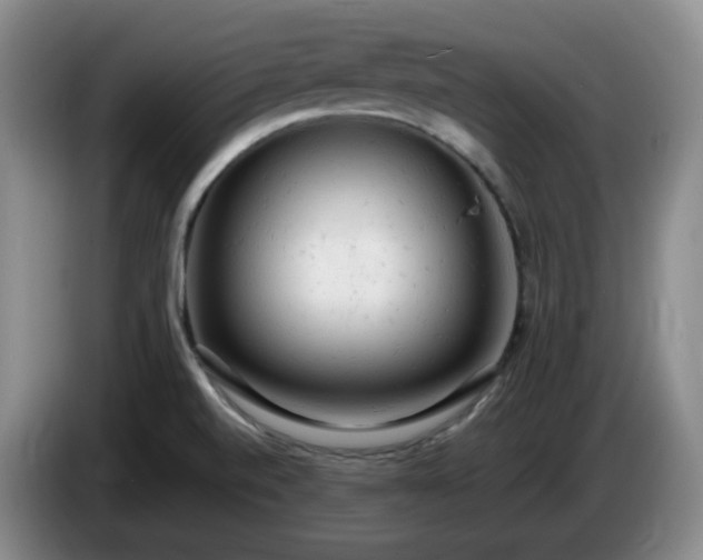 X0000085011520200703121511