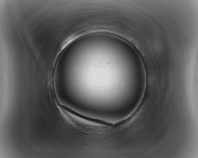 X0000085011521200703121511