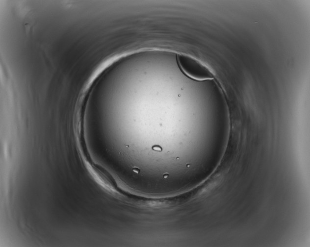 X0000085011523200703121511