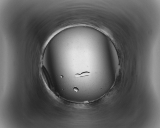 X0000085011524200703121511