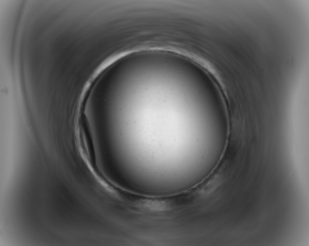 X0000085011525200703121511