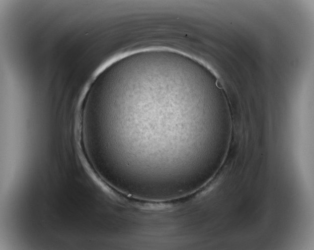 X0000085011526200703121511