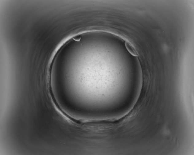 X0000085011527200703121511