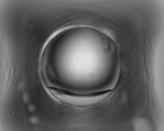 X0000085011528200703121511