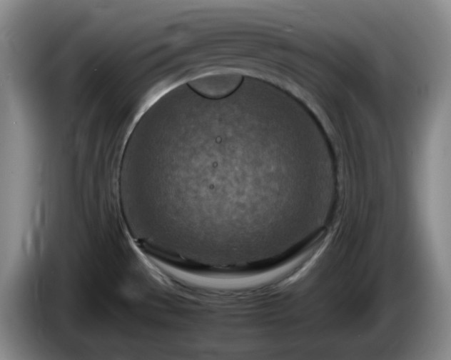 X0000085011529200703121511
