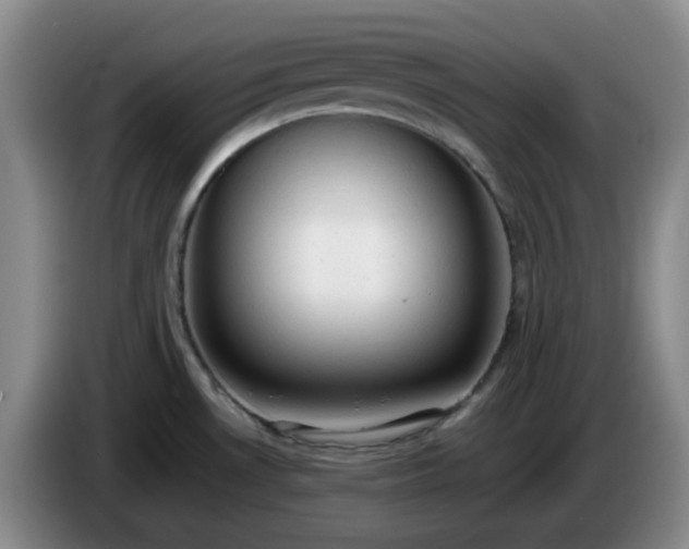 X0000085011530200703121511