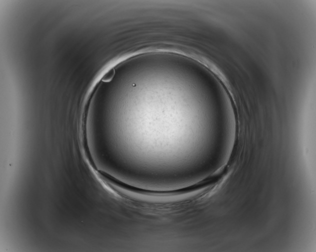 X0000085011533200703121511