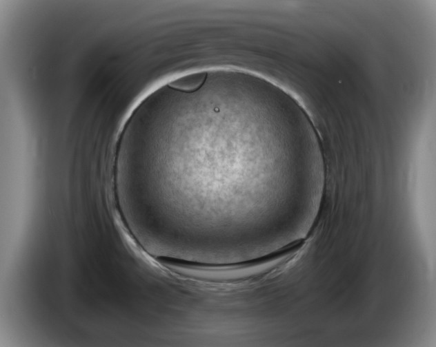 X0000085011534200703121511