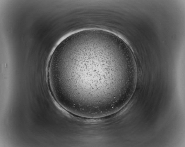 X0000085011535200703121511