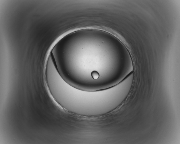 X0000085011536200703121511