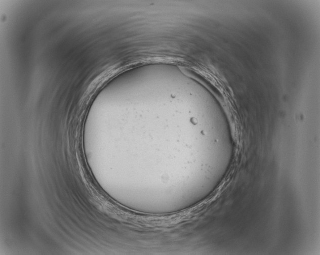 X0000085010001200703191127