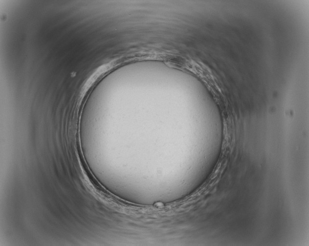 X0000085010003200703191127