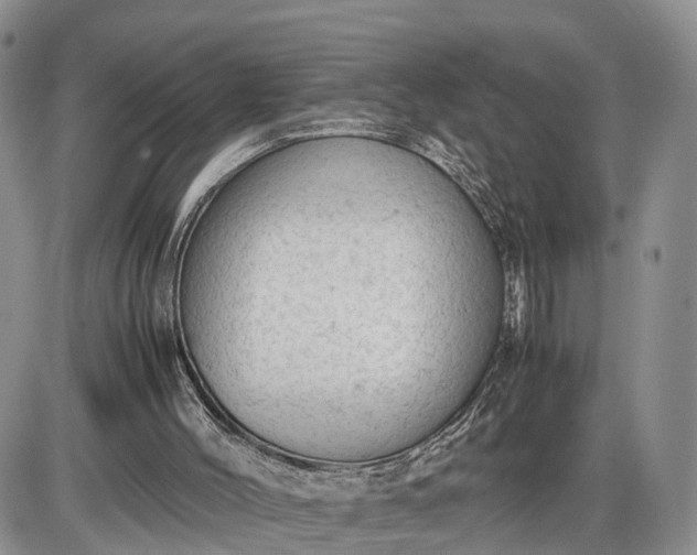 X0000085010004200703191127