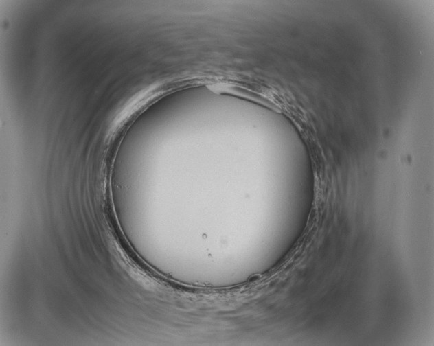 X0000085010005200703191127