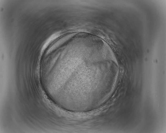 X0000085010006200703191127