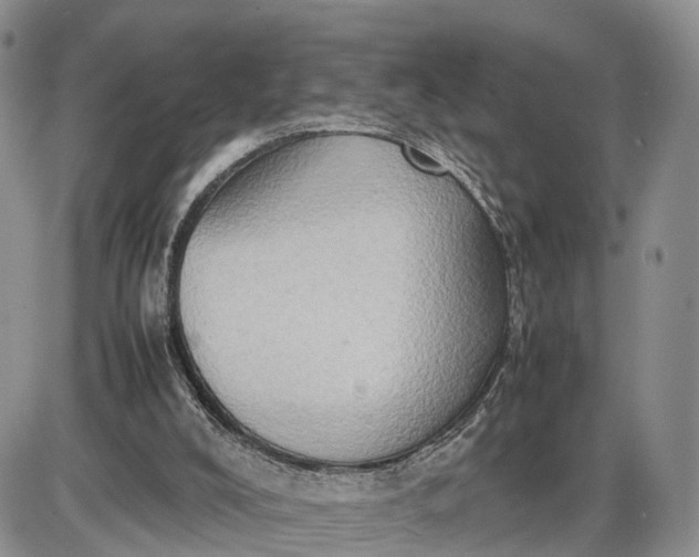 X0000085010008200703191127