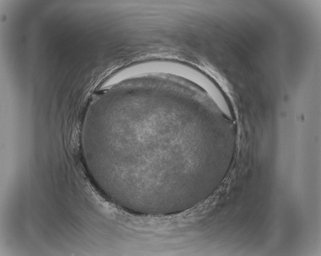 X0000085010009200703191127