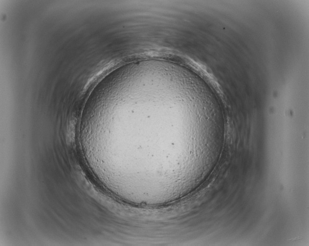 X0000085010010200703191127