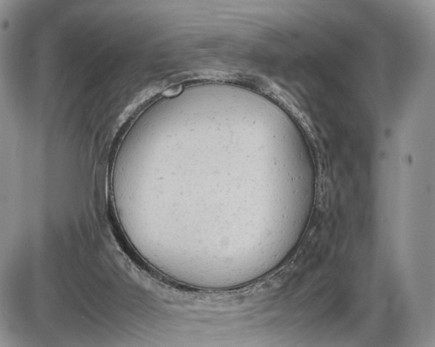 X0000085010011200703191127