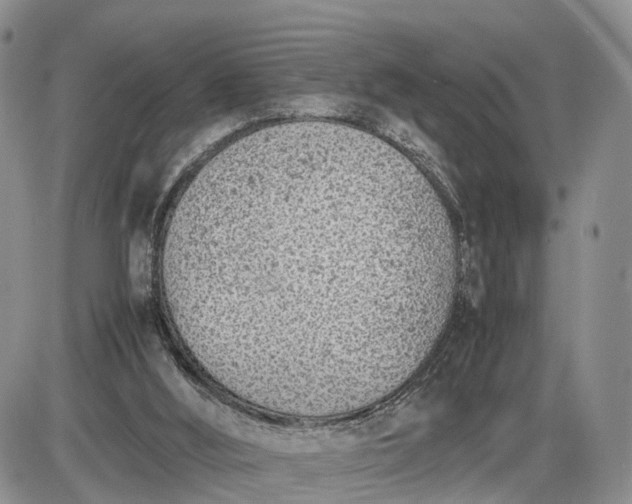 X0000085010012200703191127