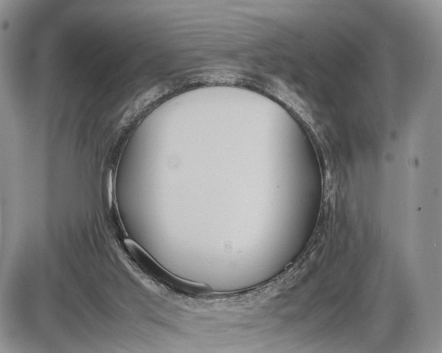 X0000085010013200703191127