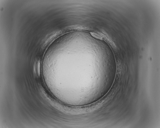 X0000085010014200703191127