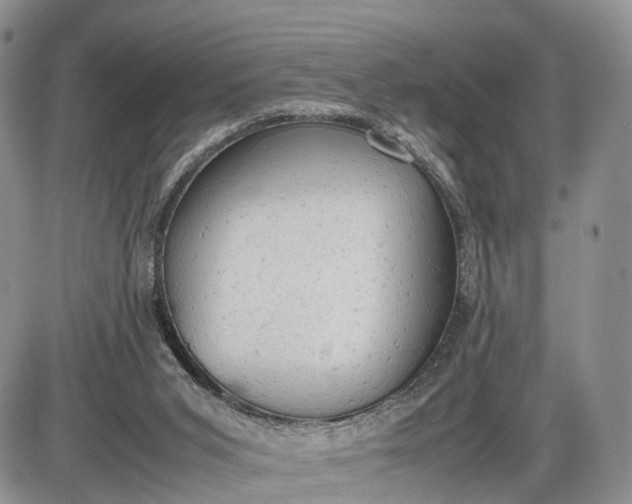 X0000085010015200703191127