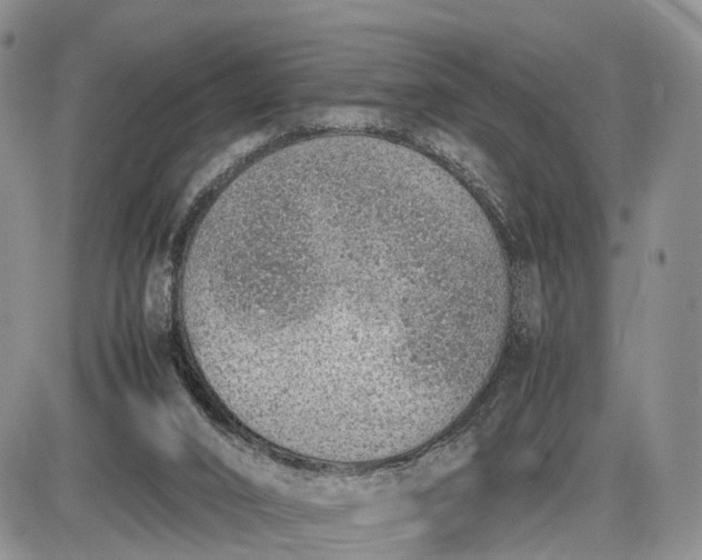 X0000085010016200703191127