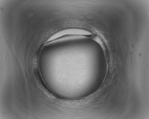 X0000085010017200703191127