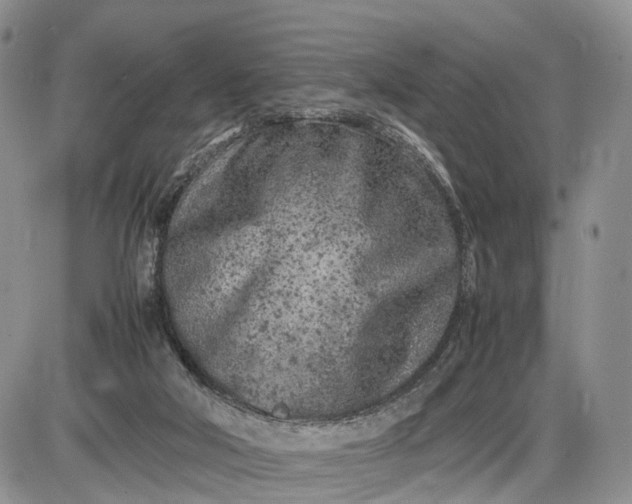 X0000085010018200703191127