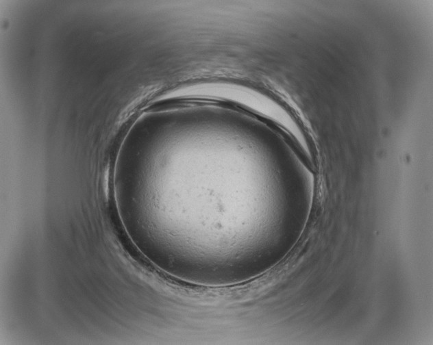 X0000085010019200703191127