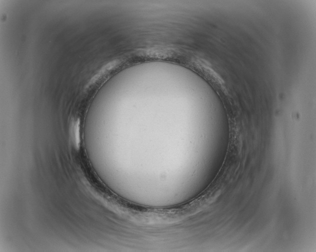 X0000085010020200703191127