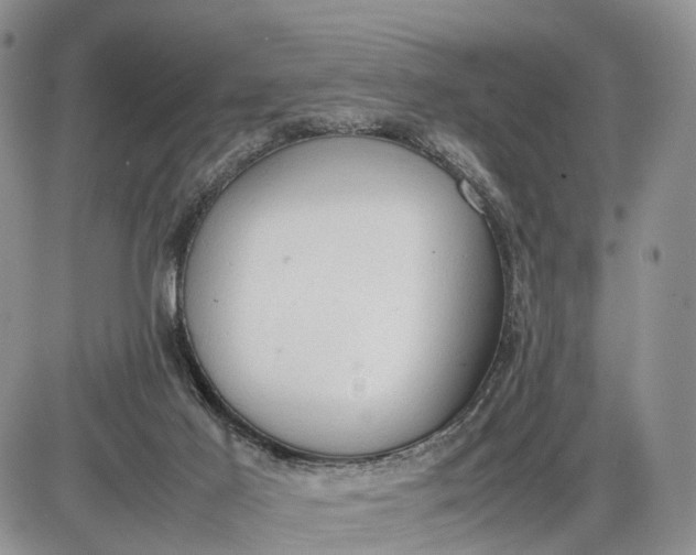 X0000085010021200703191127