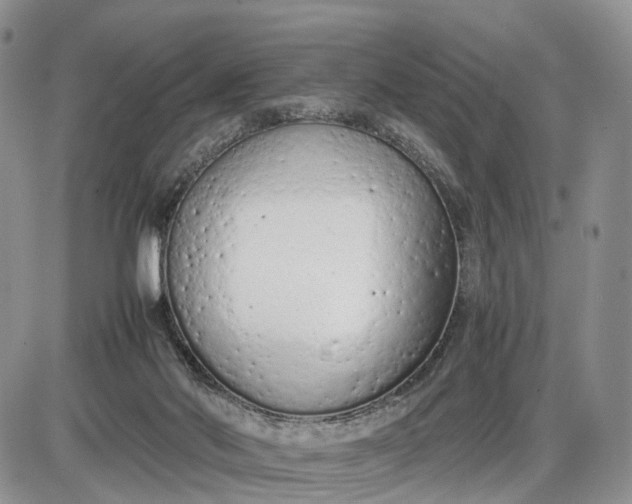 X0000085010022200703191127