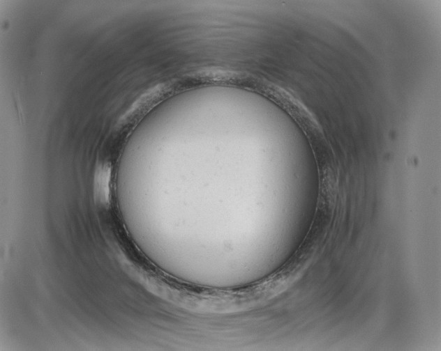 X0000085010024200703191127