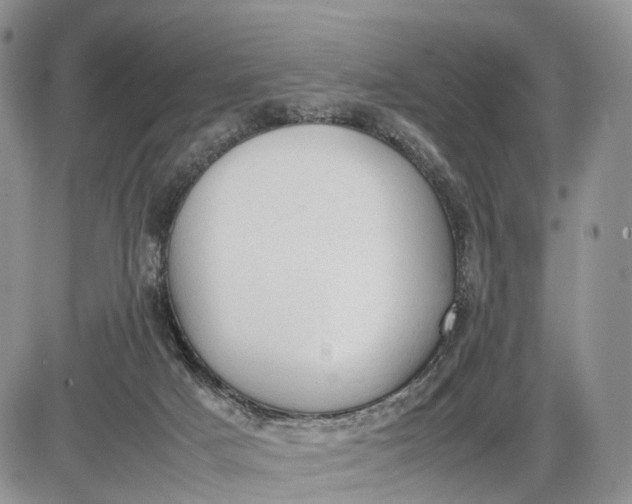 X0000085010025200703191127