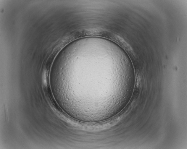 X0000085010026200703191127