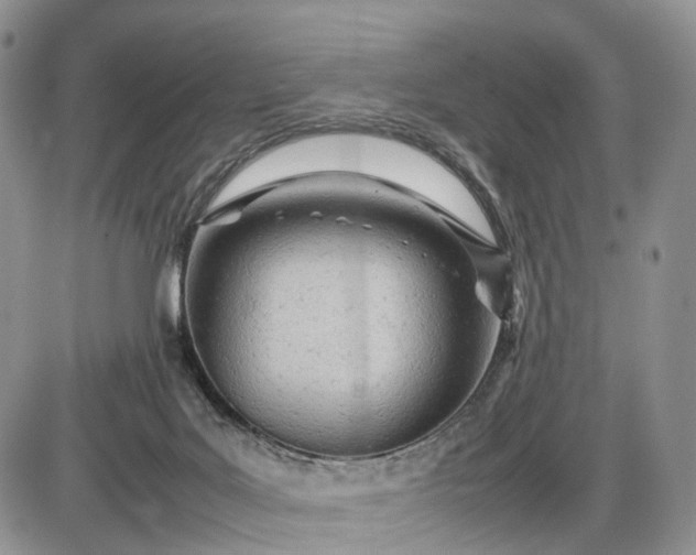 X0000085010027200703191127