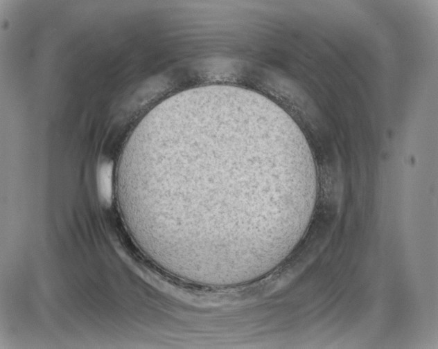 X0000085010028200703191127