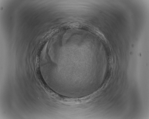 X0000085010029200703191127