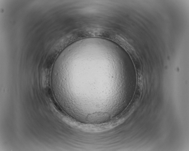 X0000085010030200703191127