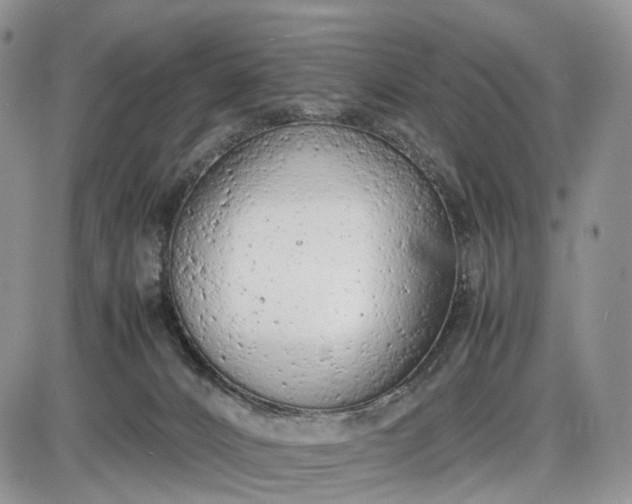 X0000085010032200703191127