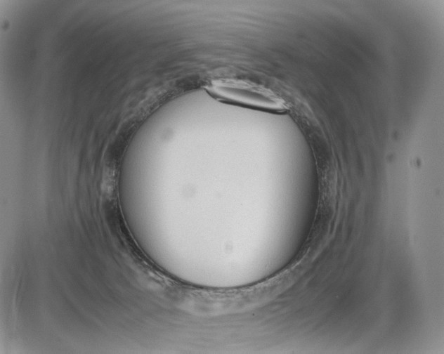 X0000085010033200703191127