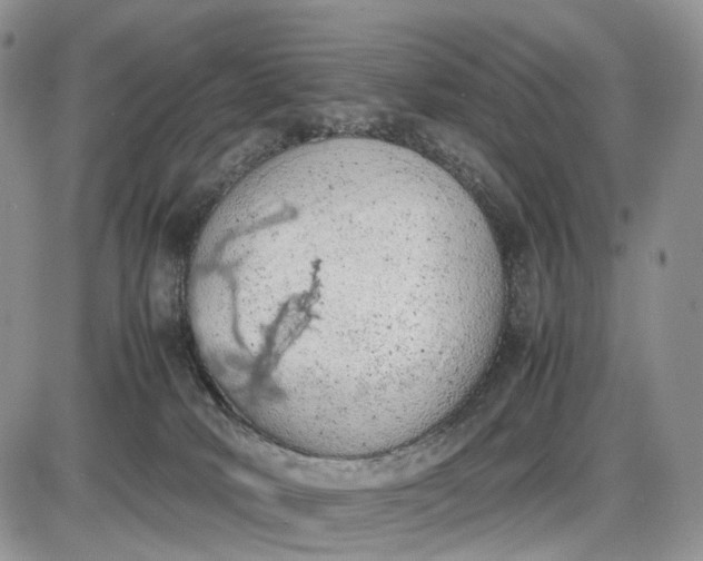 X0000085010034200703191127